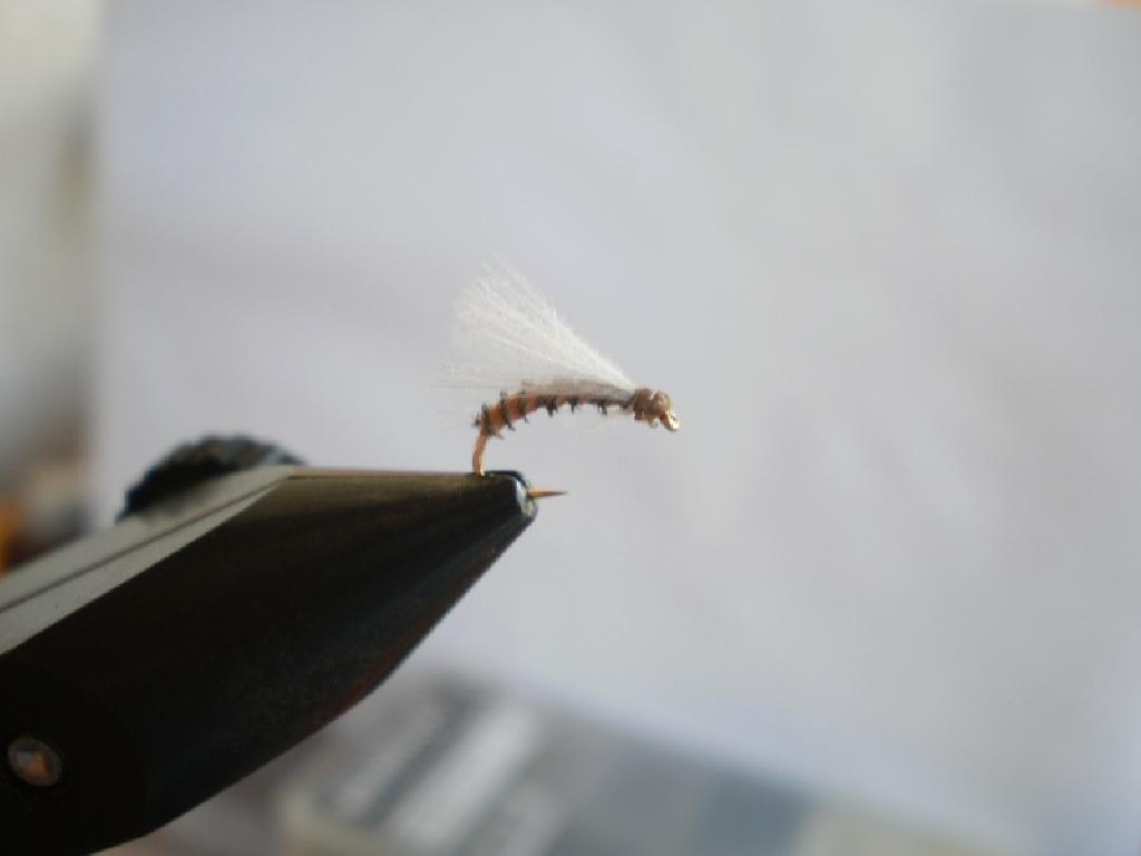 Montage de mouche