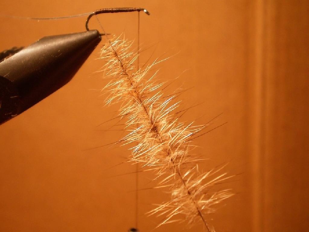 Montage de mouche