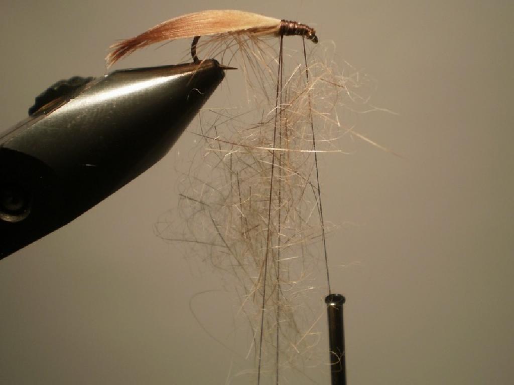 Montage de mouche