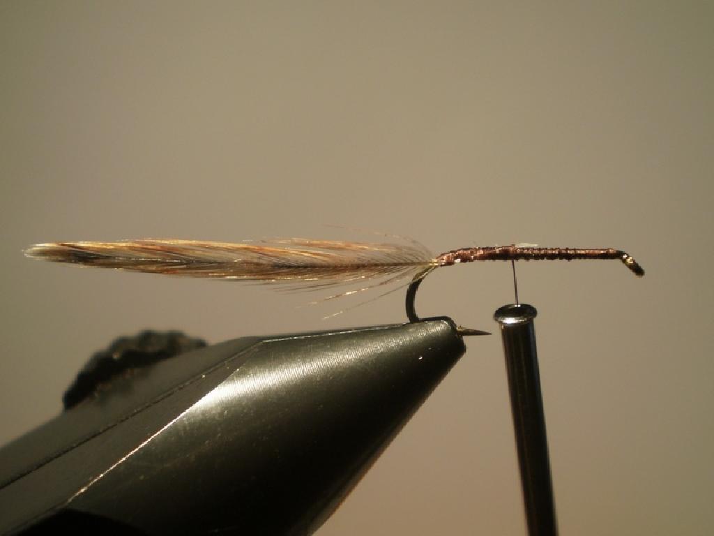 Montage de mouche