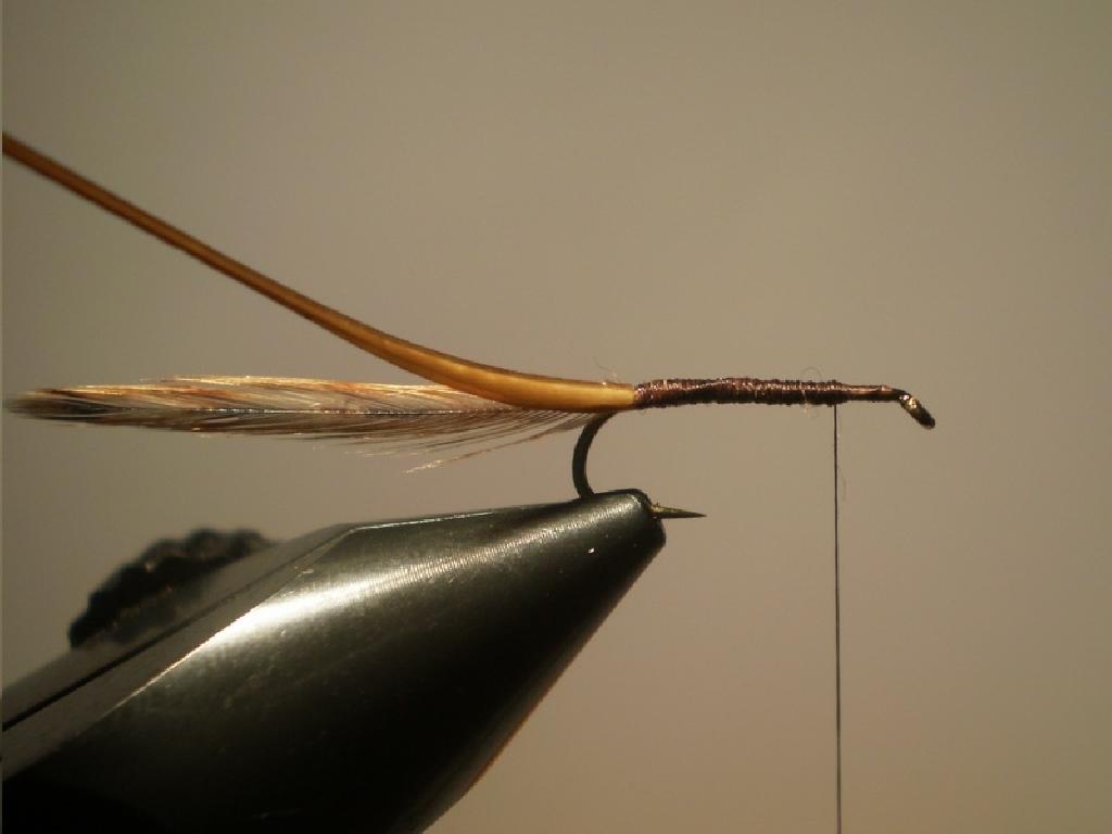 Montage de mouche