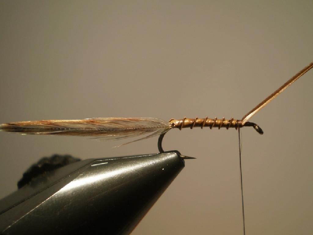 Montage de mouche