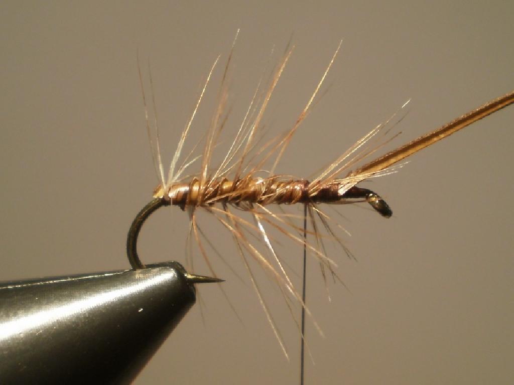 Montage de mouche
