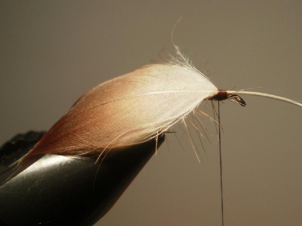 Montage de mouche