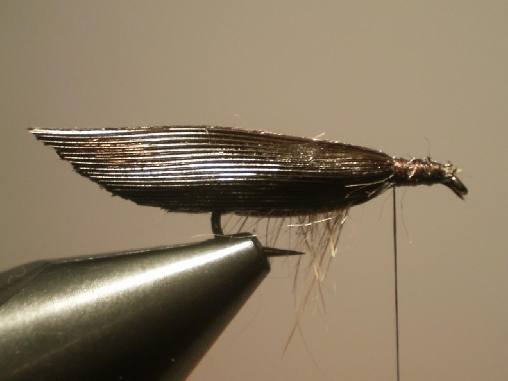 Montage de mouche