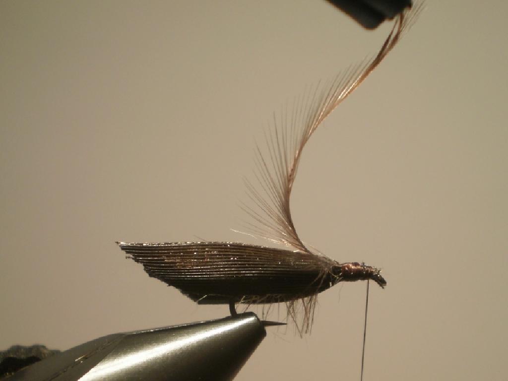 Montage de mouche