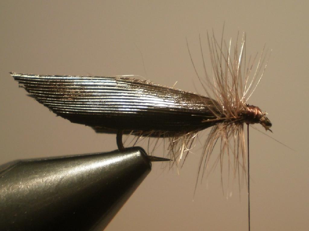 Montage de mouche