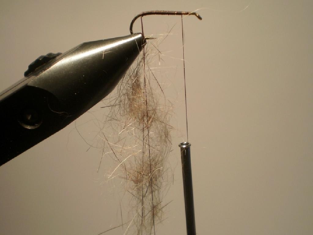 Montage de mouche