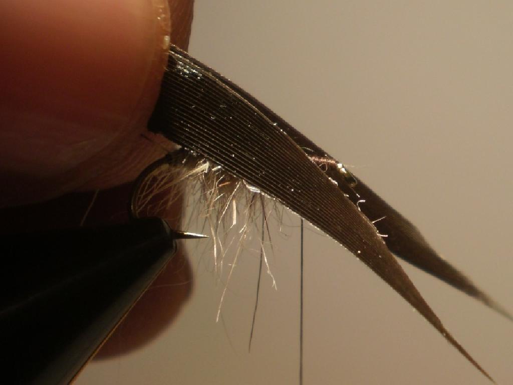 Montage de mouche