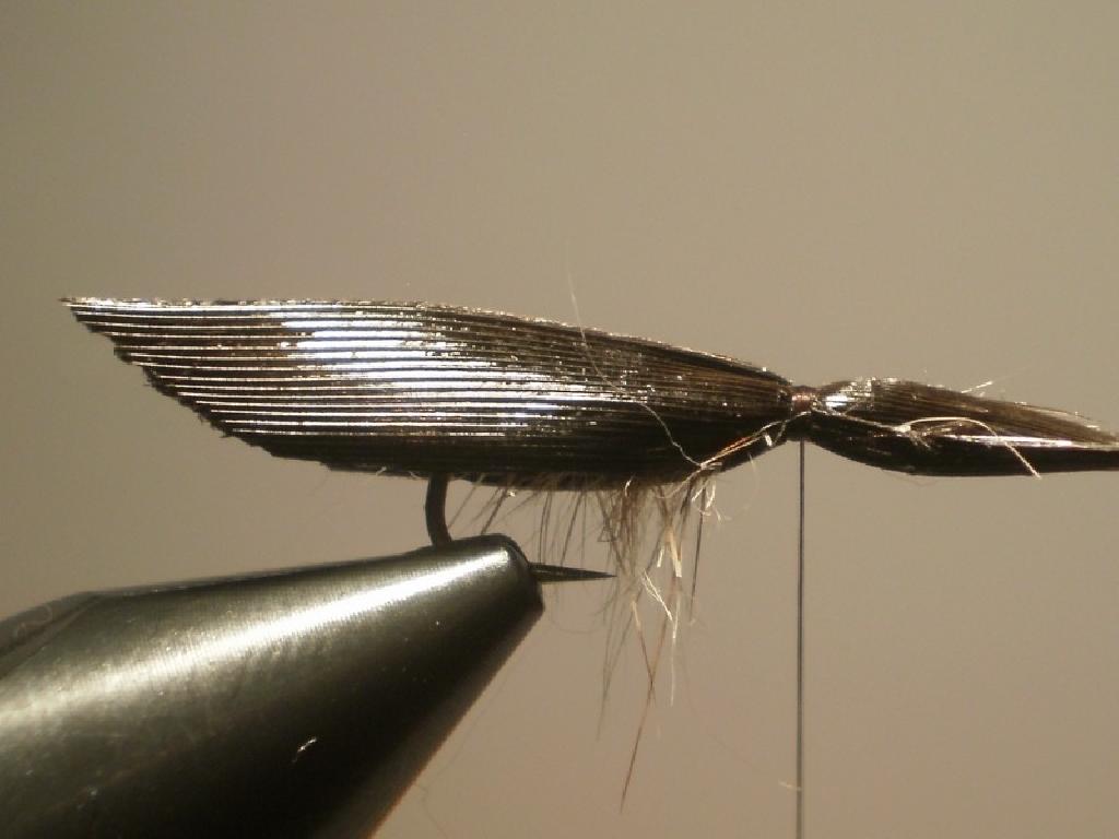 Montage de mouche