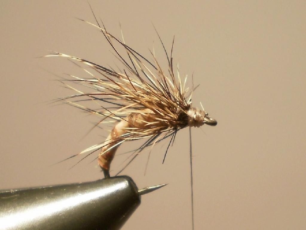 Montage de mouche