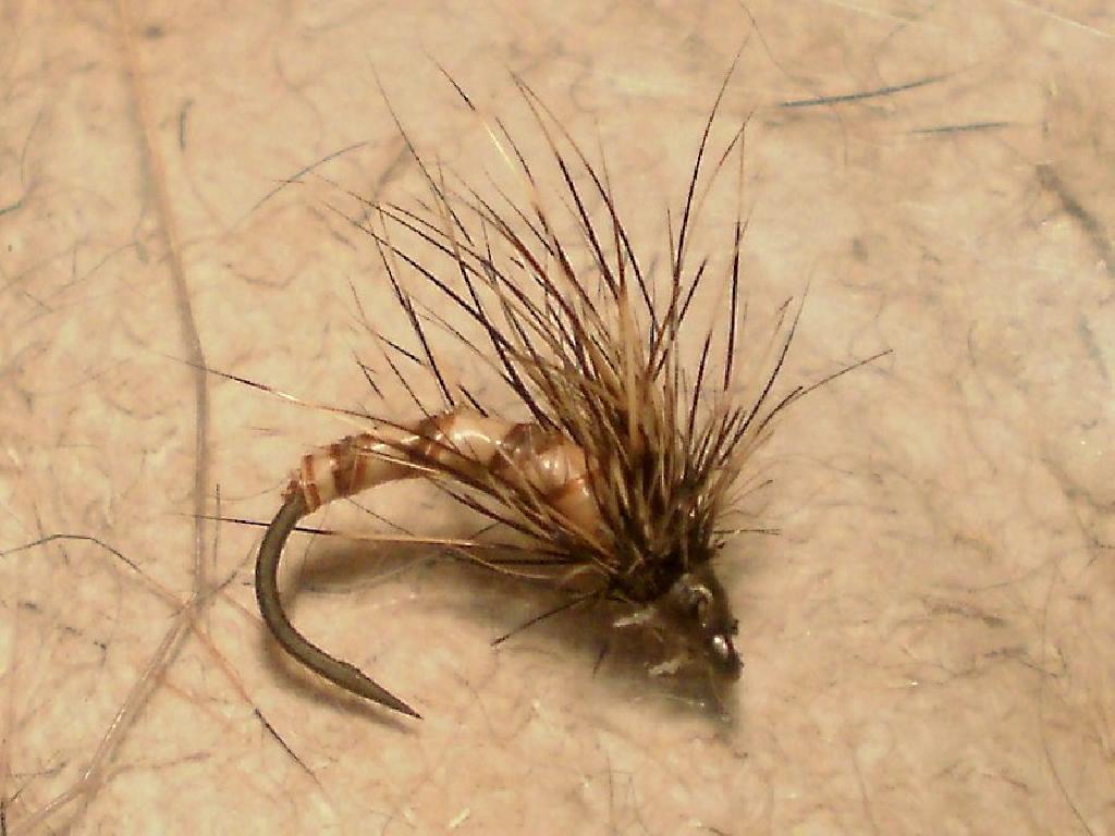 Montage de mouche