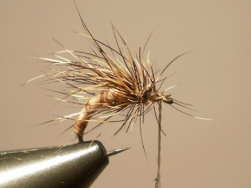 Montage de mouche