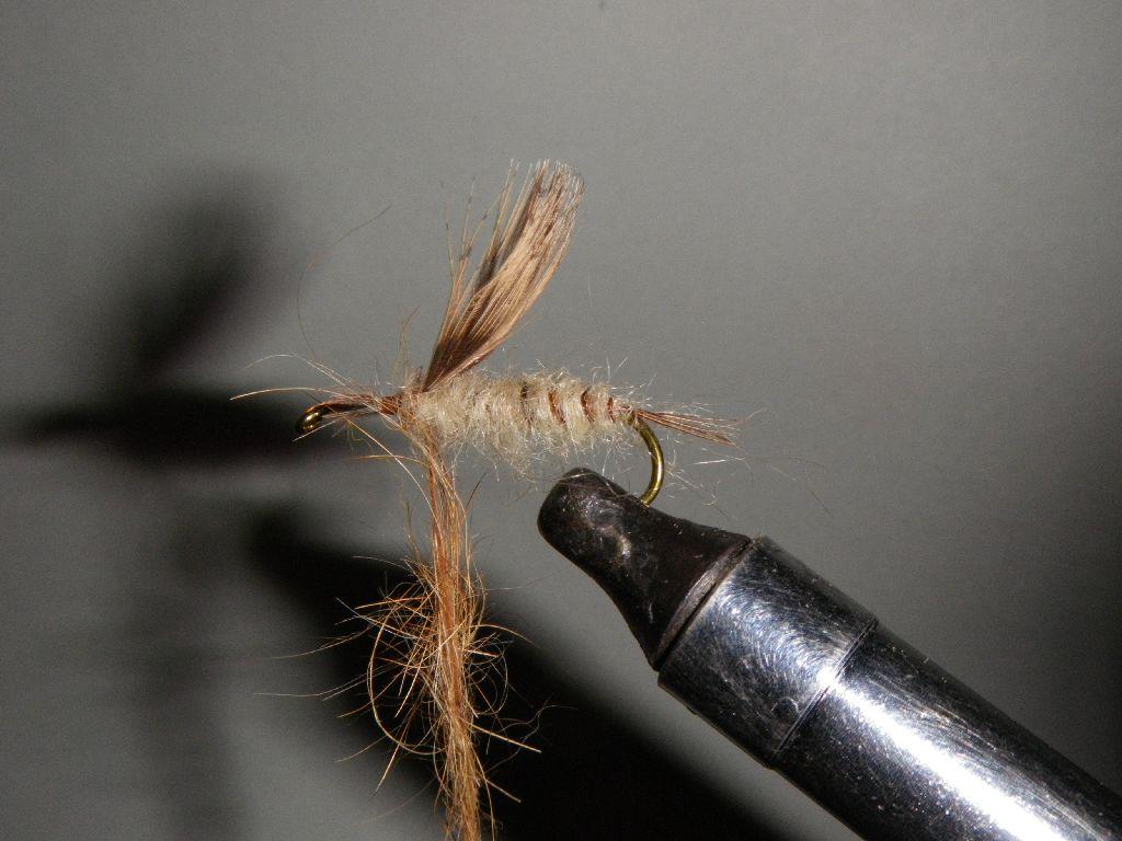 Montage de mouche