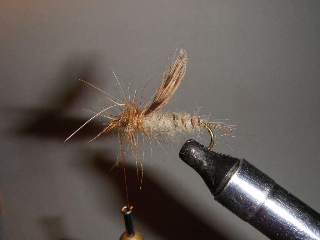 Montage de mouche