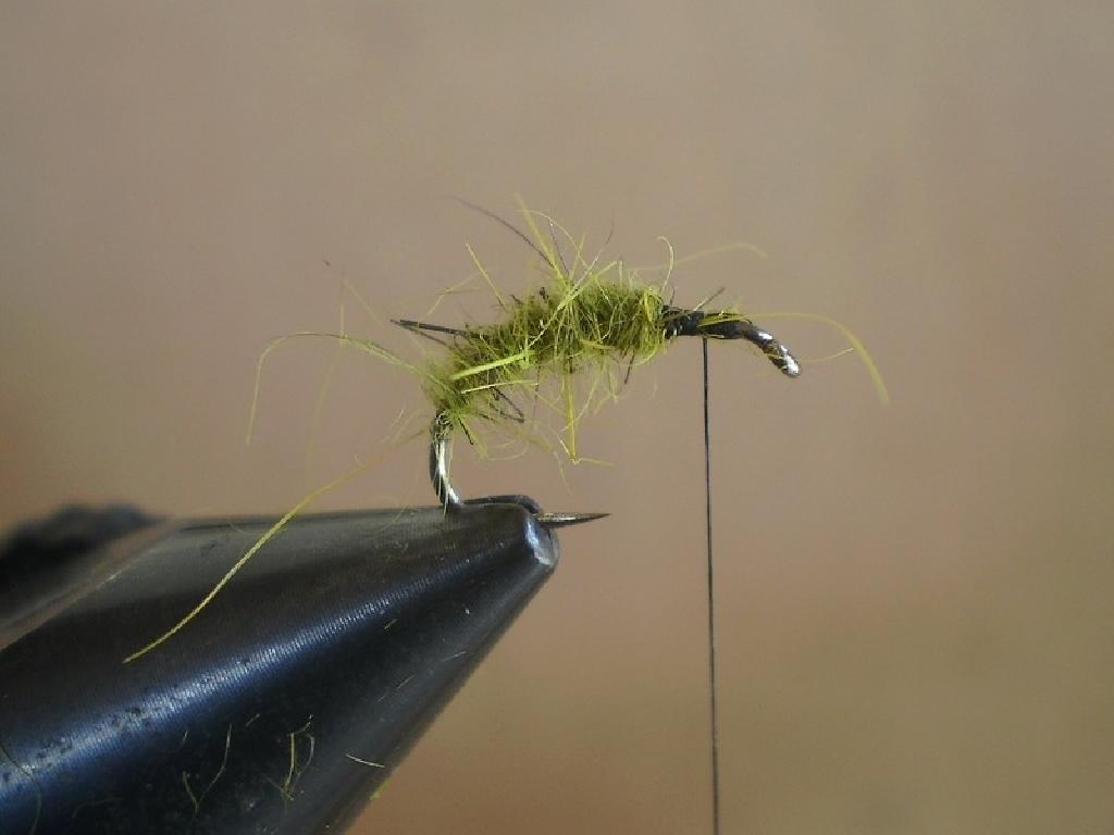 Montage de mouche