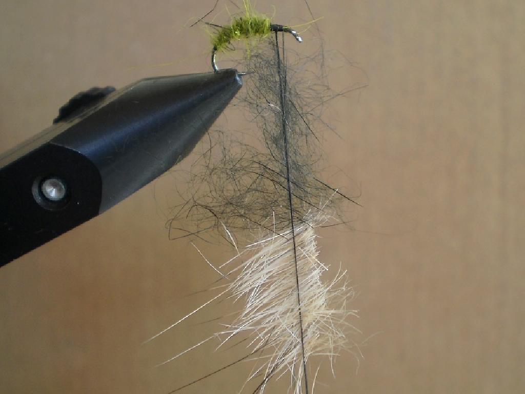 Montage de mouche