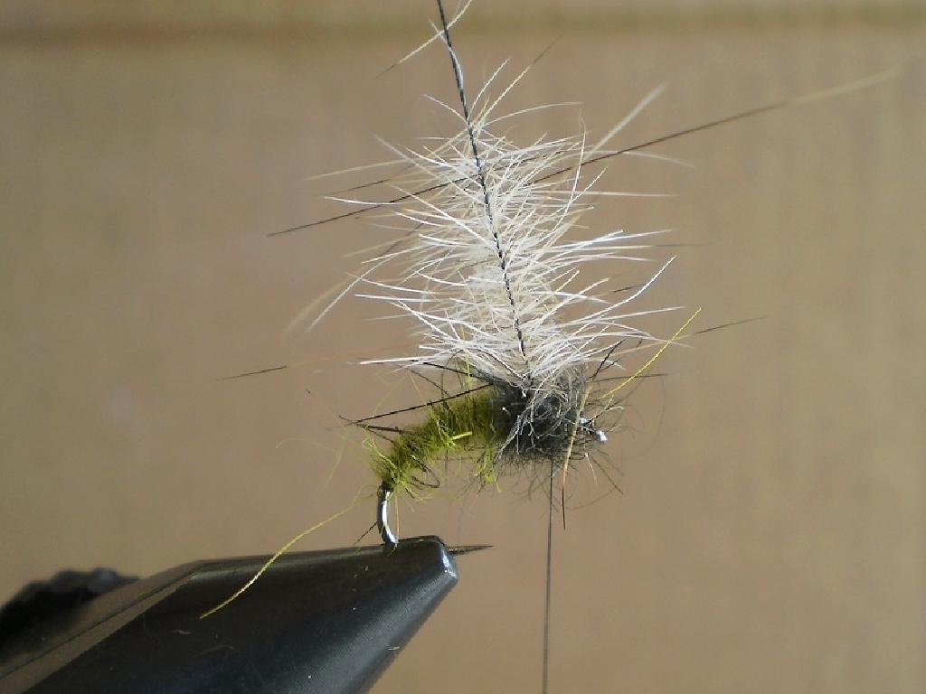 Montage de mouche