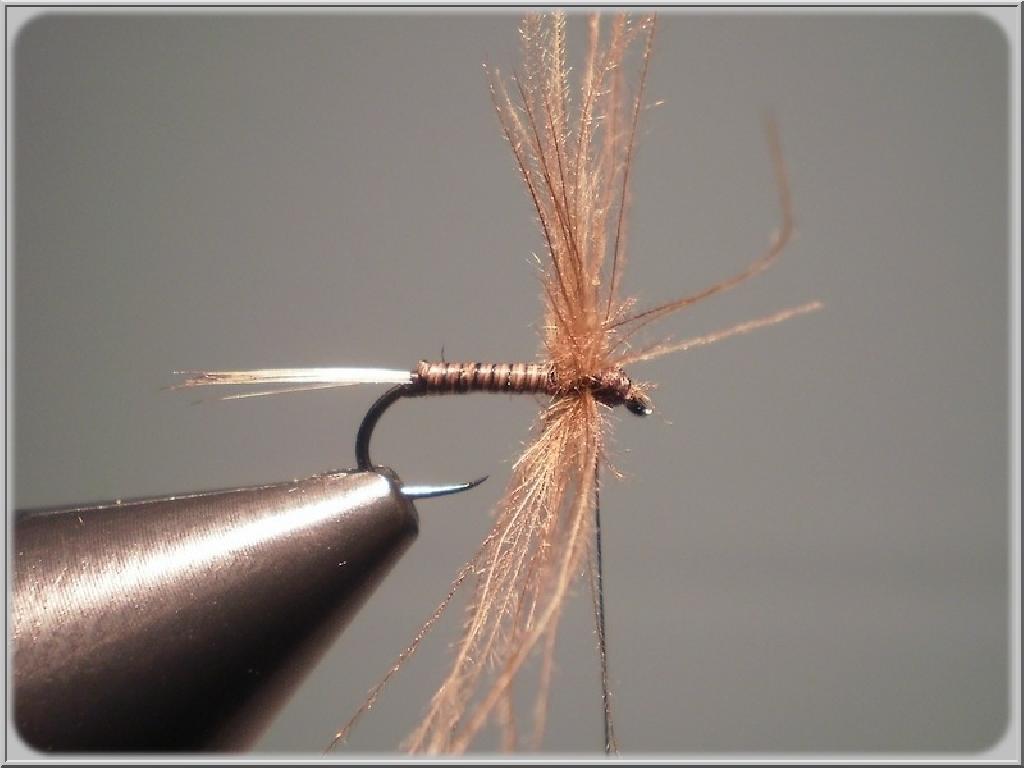 Montage de mouche