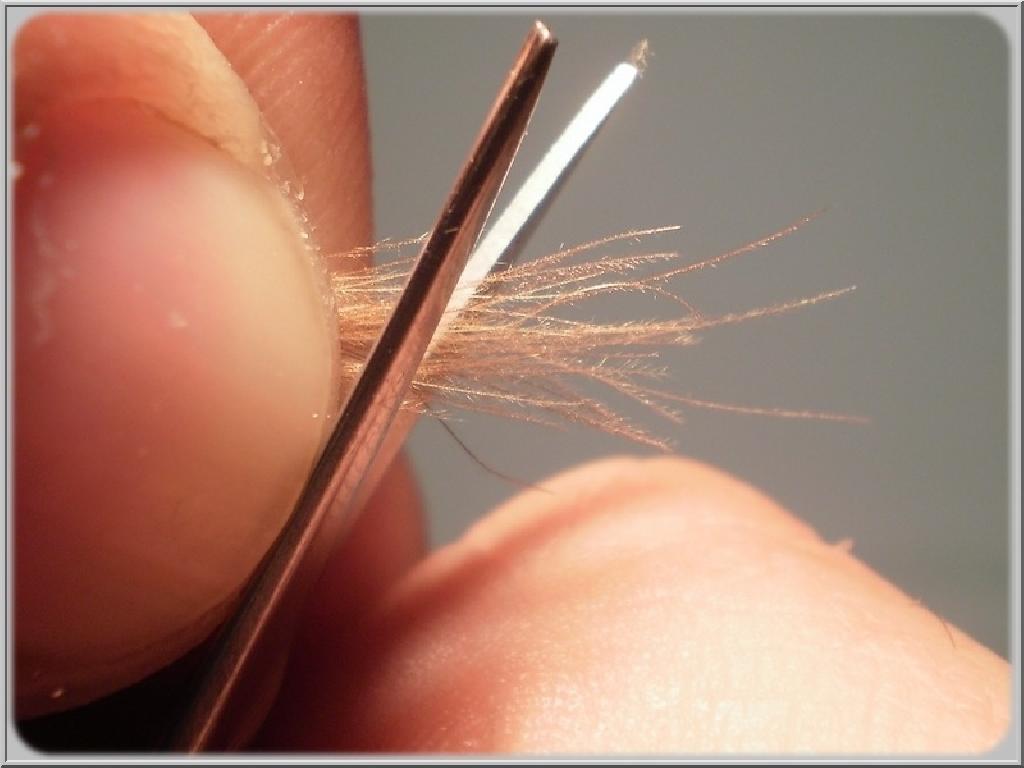 Montage de mouche