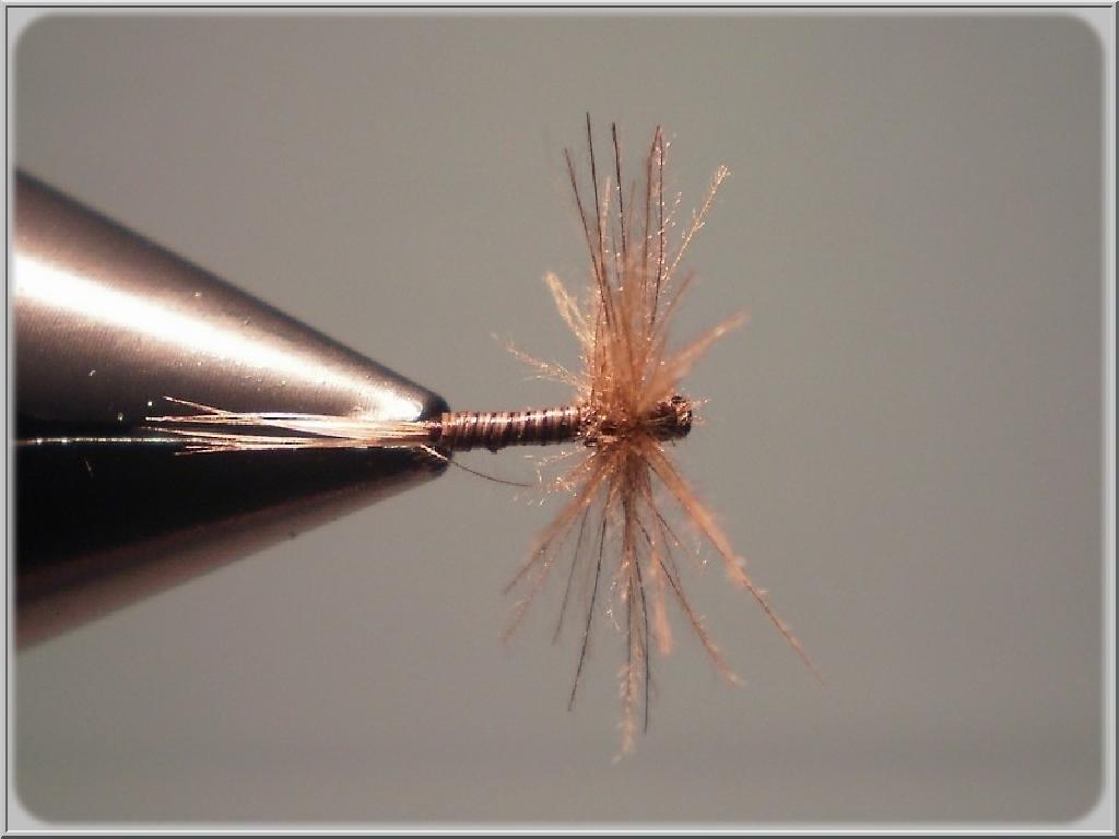 Montage de mouche
