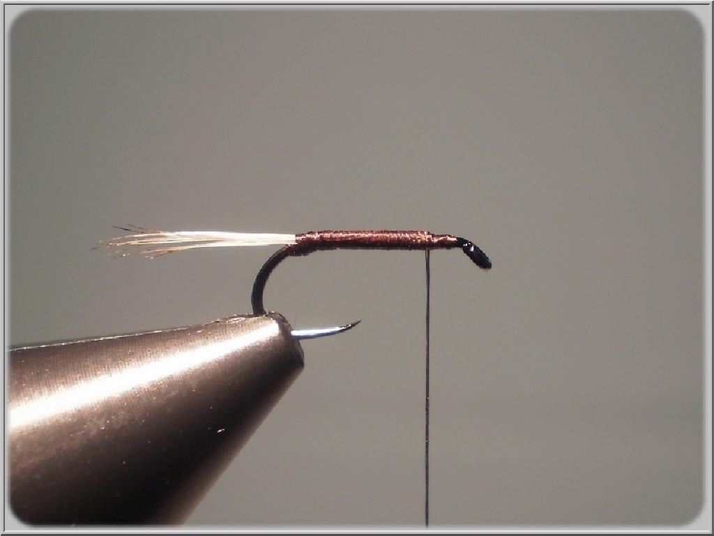 Montage de mouche