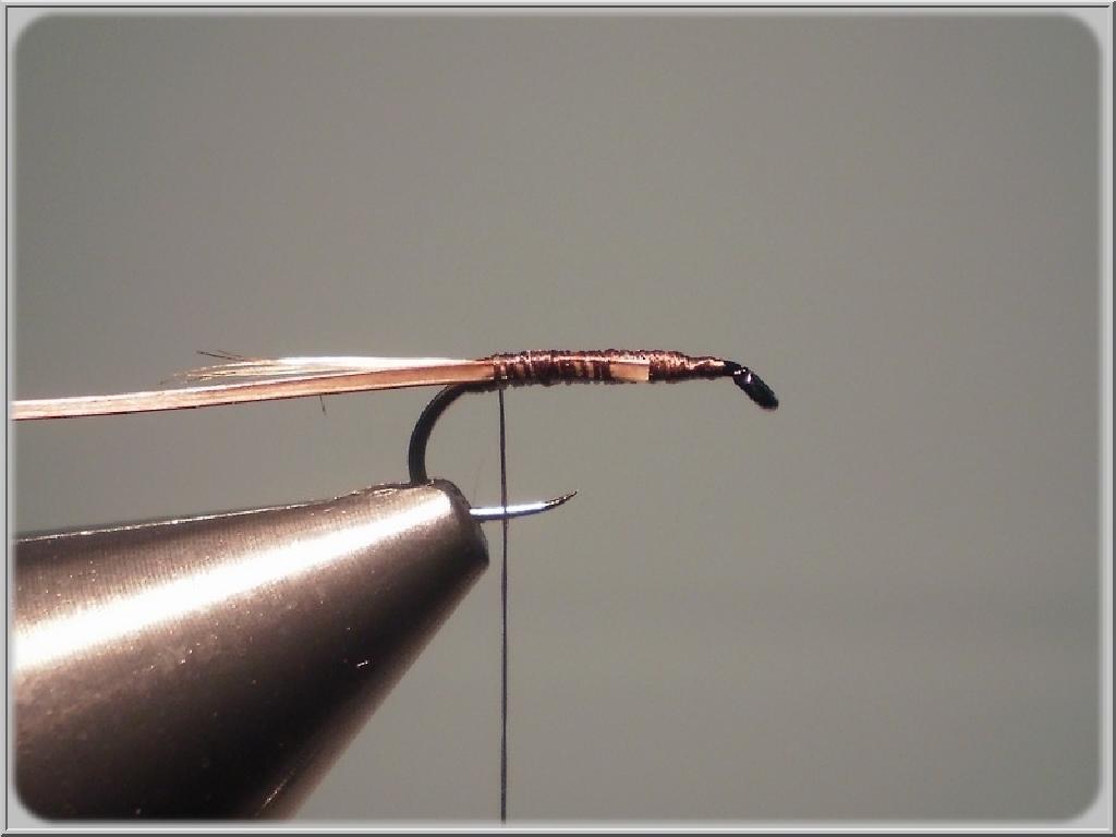 Montage de mouche