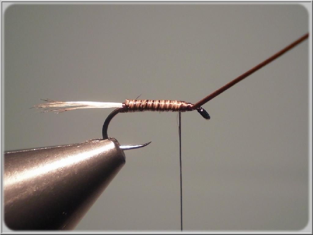 Montage de mouche