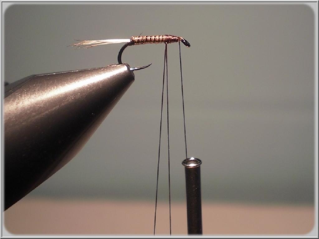 Montage de mouche