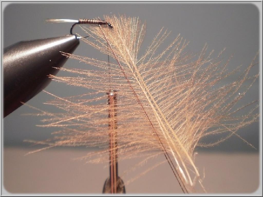 Montage de mouche