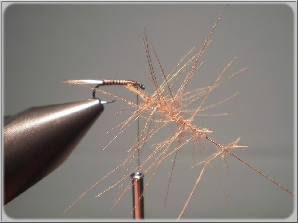 Montage de mouche