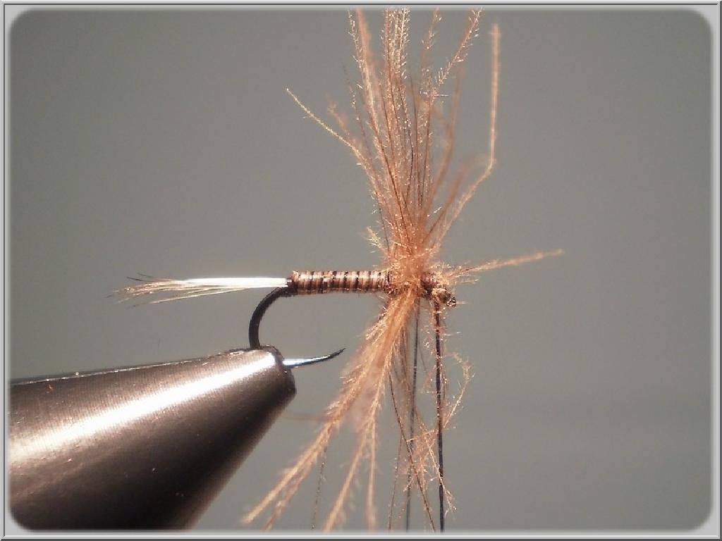 Montage de mouche