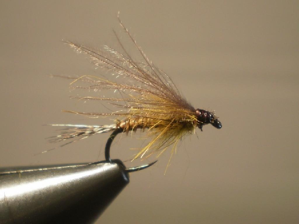 Fiche de montage : Brown Mustard Émergente