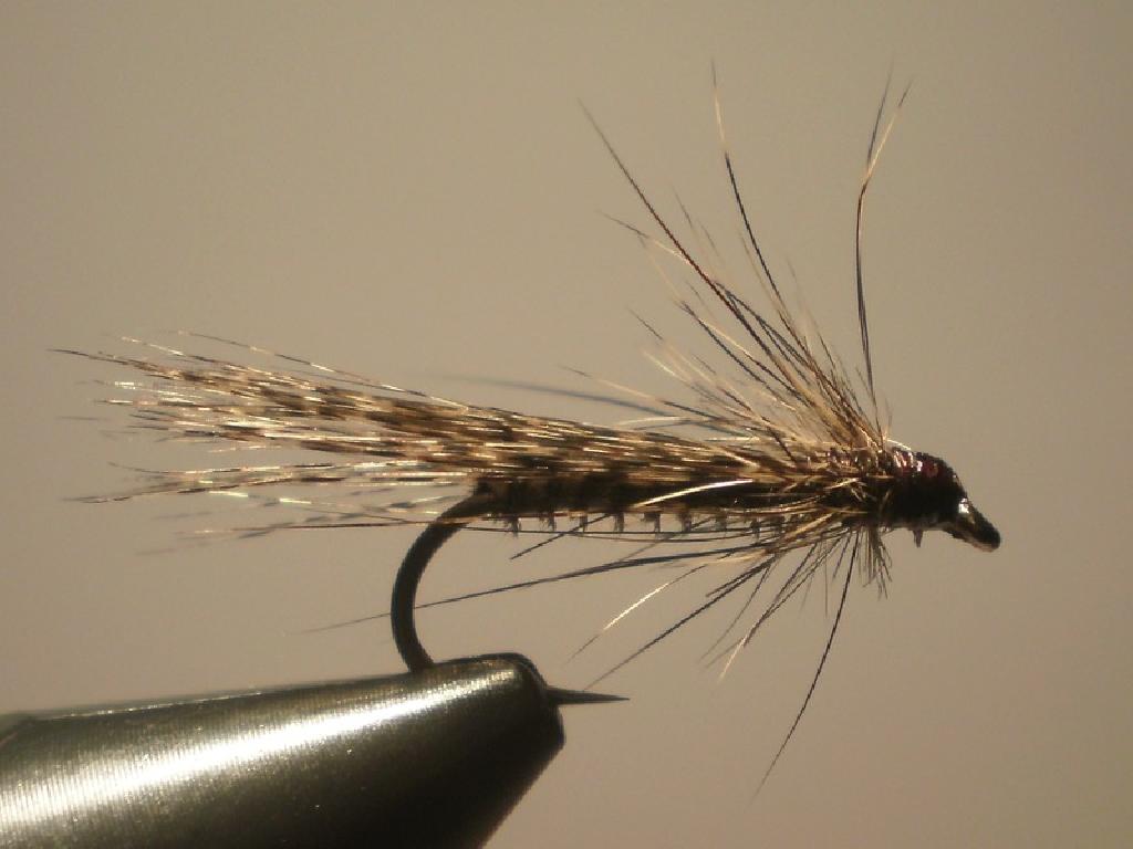 Montage de mouche
