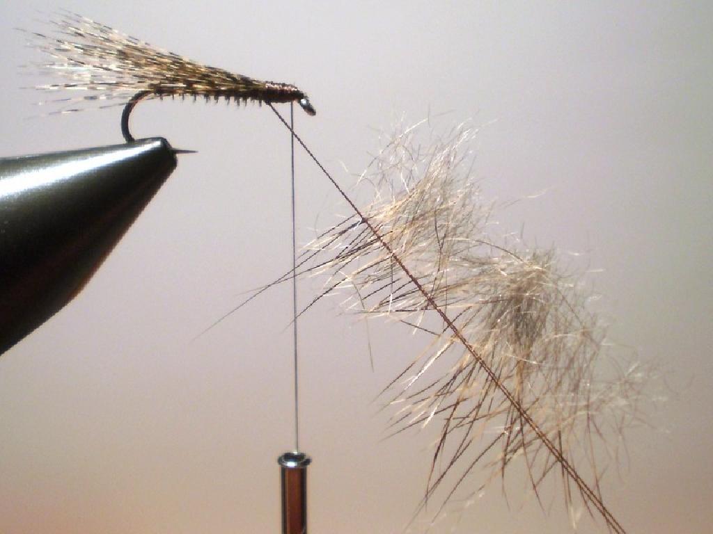 Montage de mouche