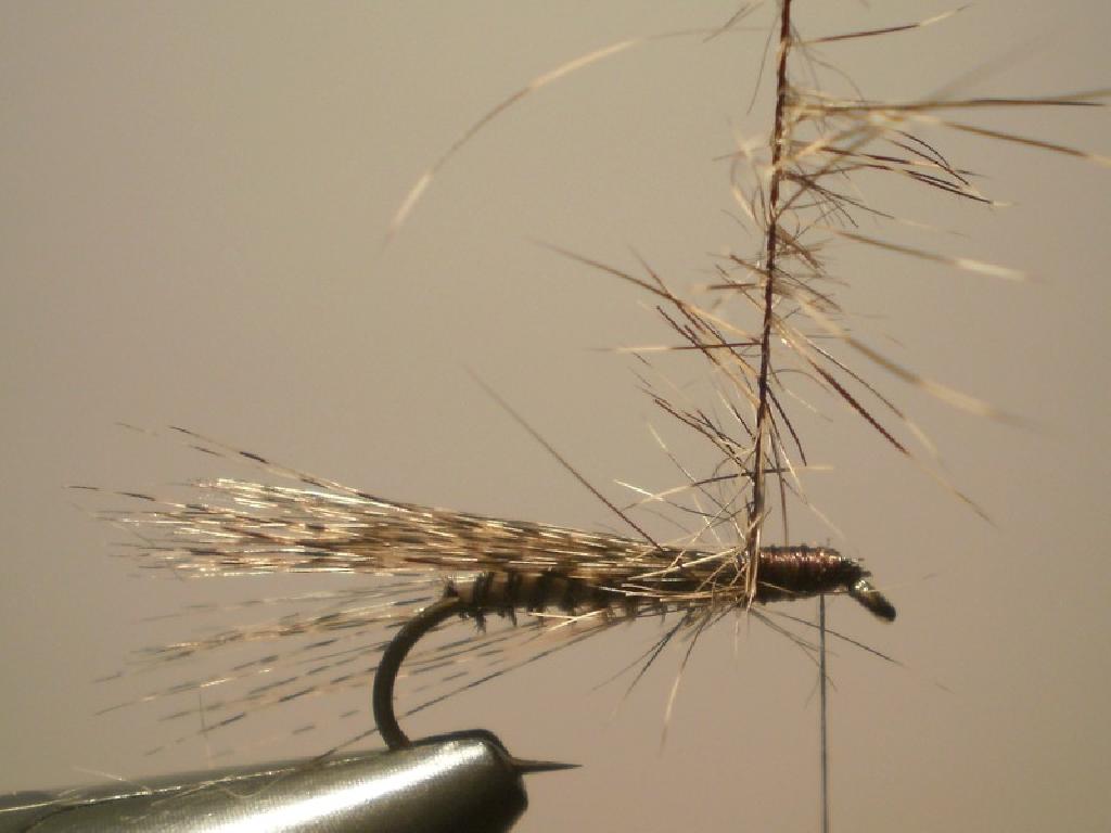 Montage de mouche