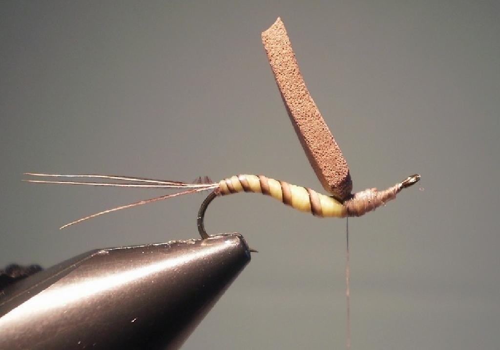 Montage de mouche