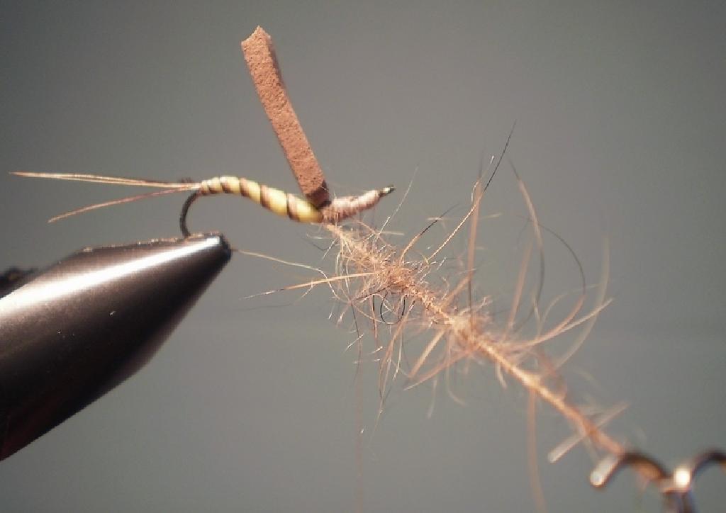 Montage de mouche