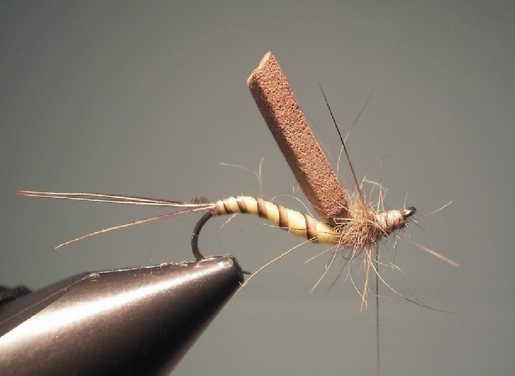 Montage de mouche