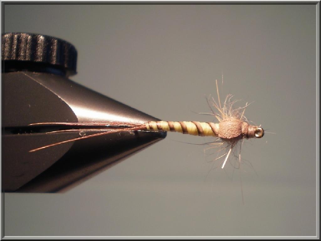 Montage de mouche