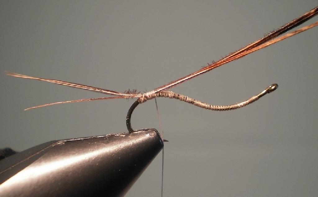 Montage de mouche