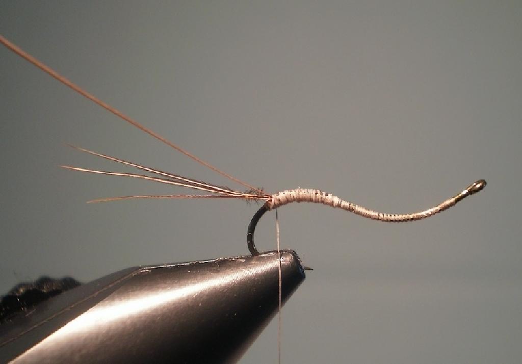 Montage de mouche