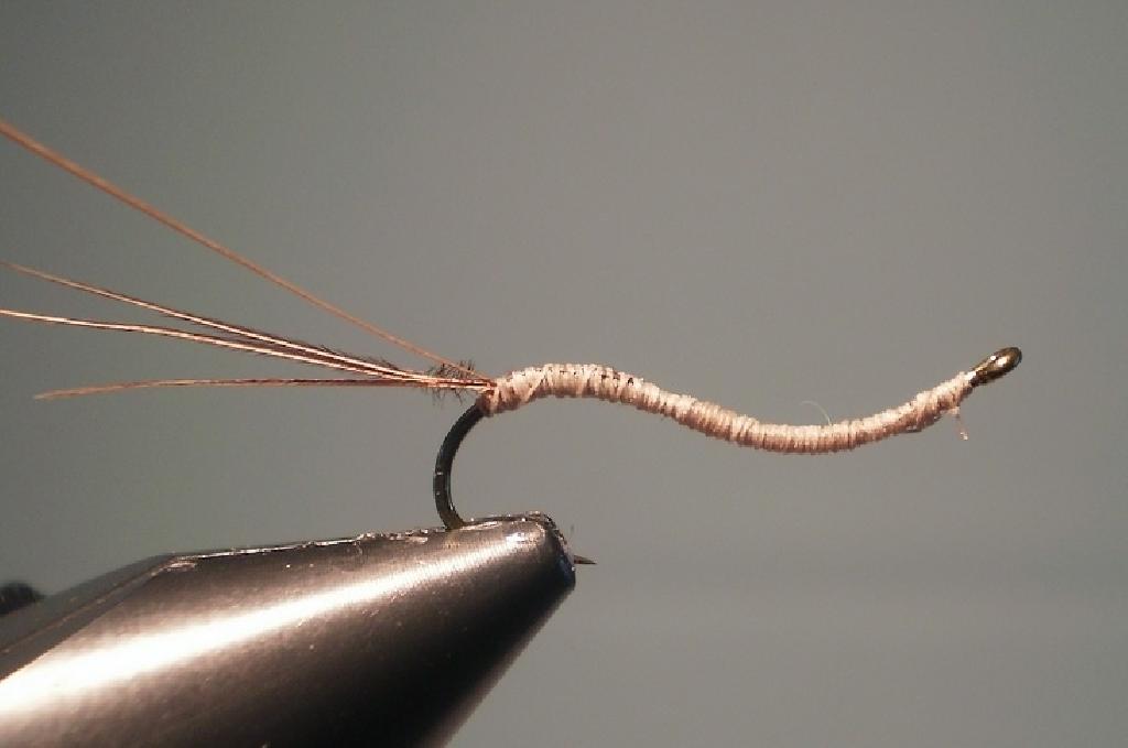 Montage de mouche