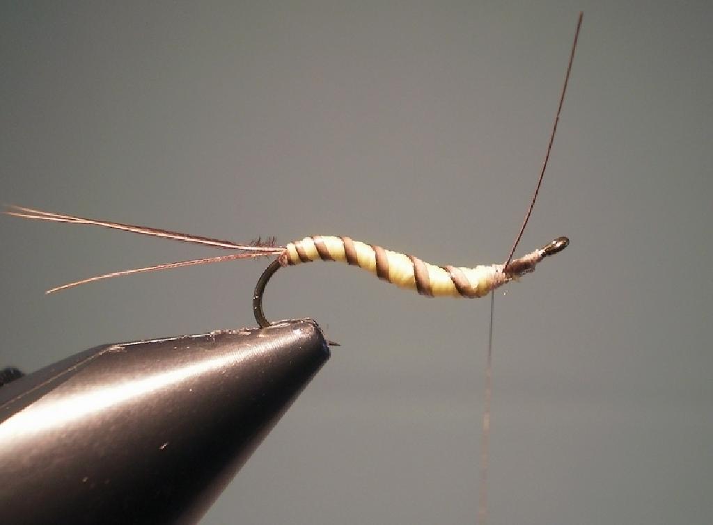 Montage de mouche