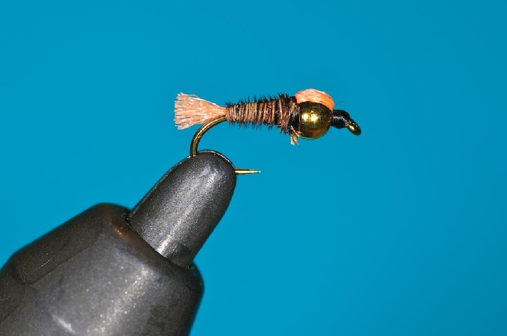Fiche de montage : Sawyer gold Flash