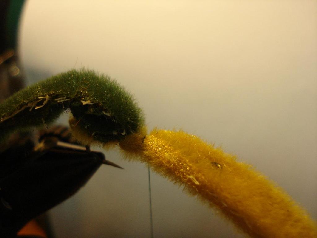 Montage de mouche