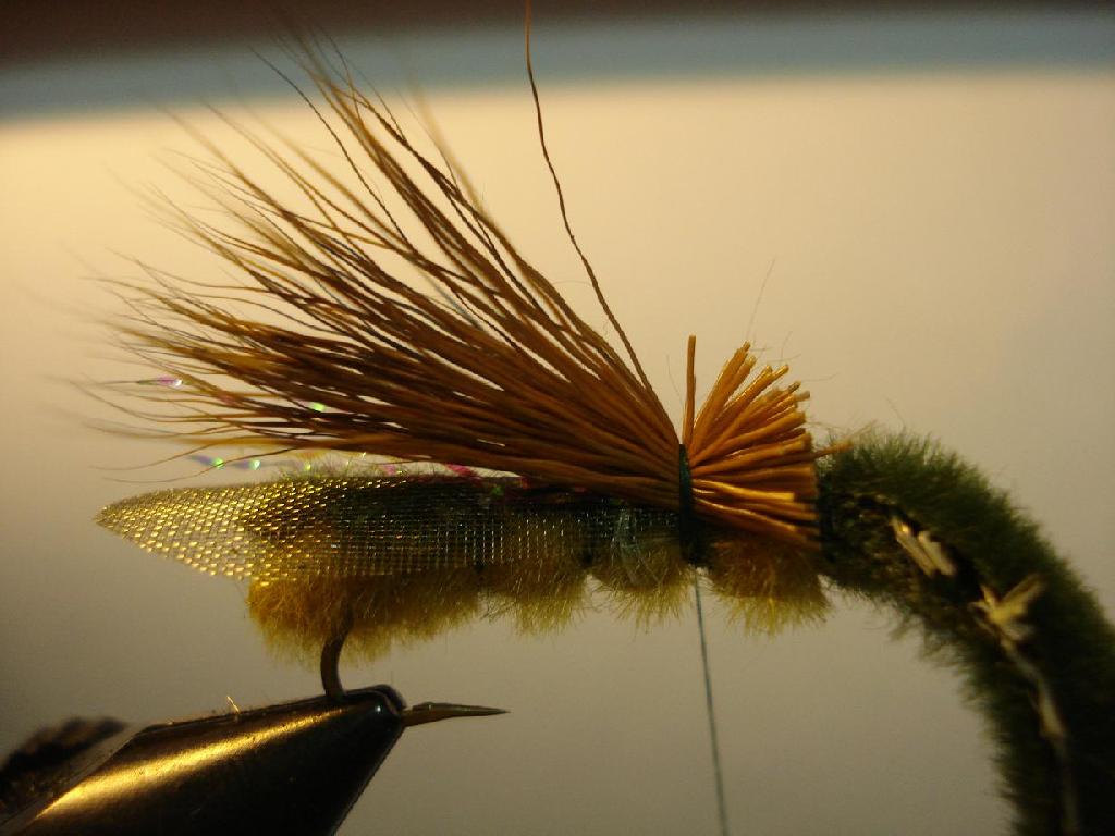 Montage de mouche