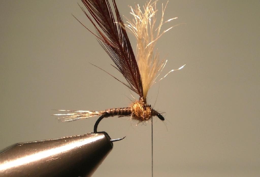 Montage de mouche