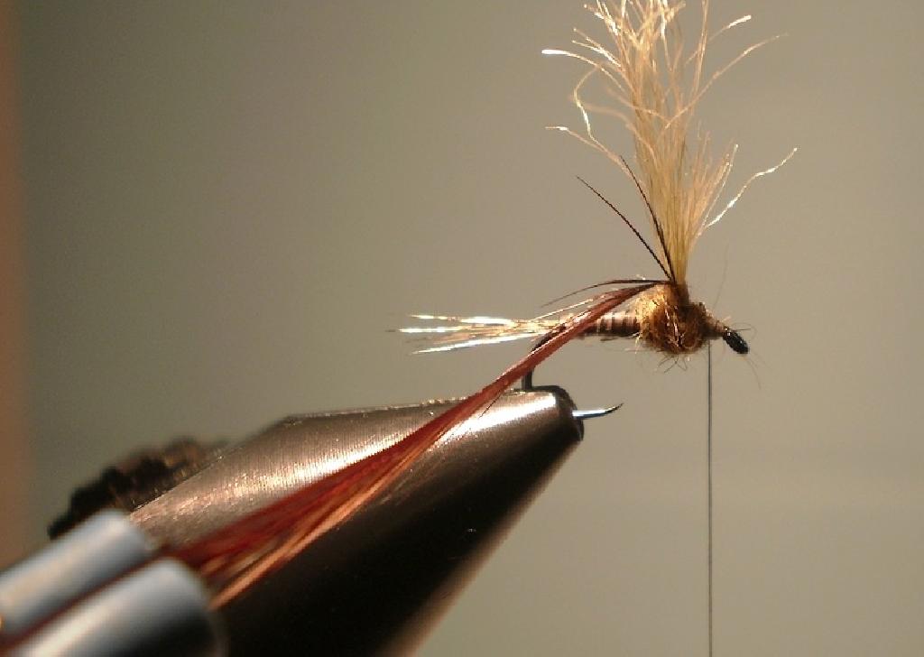 Montage de mouche