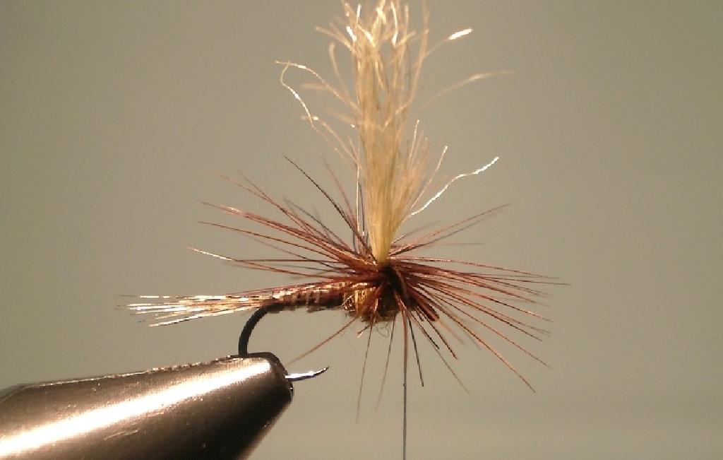 Montage de mouche